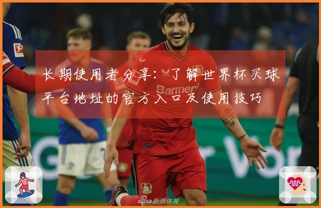 长期使用者分享：了解世界杯买球平台地址的官方入口及使用技巧