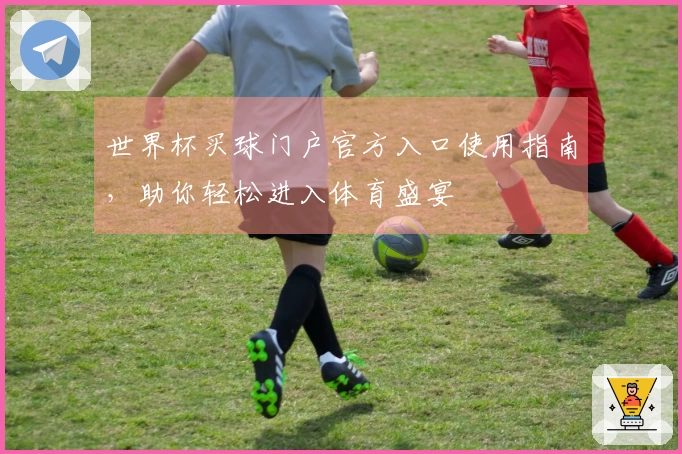 世界杯买球门户官方入口使用指南，助你轻松进入体育盛宴