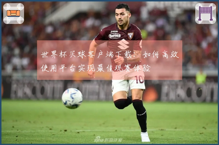 世界杯买球客户端下载：如何高效使用平台实现最佳观赛体验