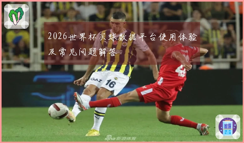 2026世界杯买球数据平台使用体验及常见问题解答