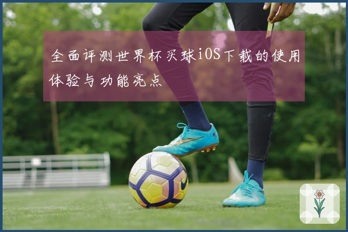全面评测世界杯买球iOS下载的使用体验与功能亮点