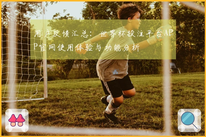用户反馈汇总：世界杯投注平台APP官网使用体验与功能分析