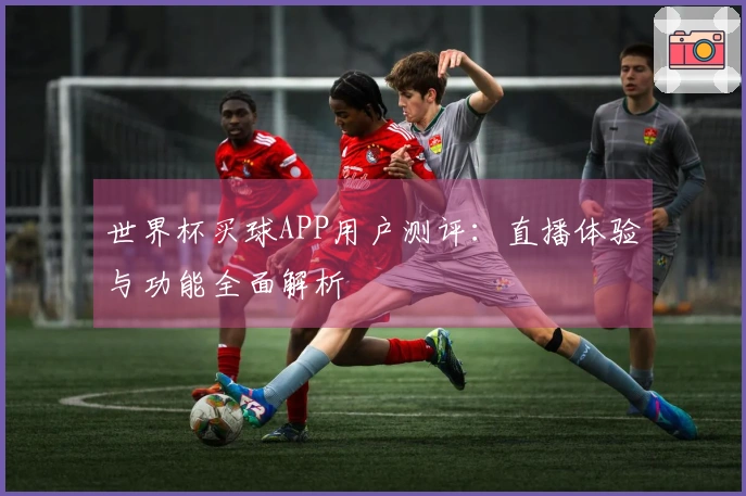 世界杯买球APP用户测评:直播体验与功能全面解析