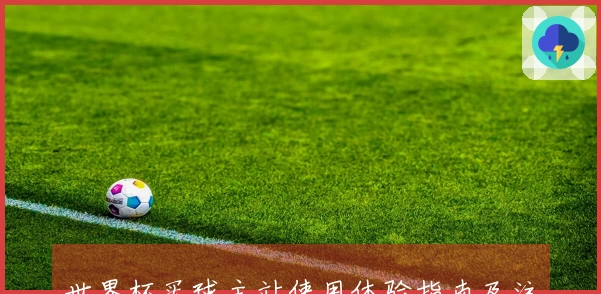 世界杯买球主站使用体验指南及注册流程说明