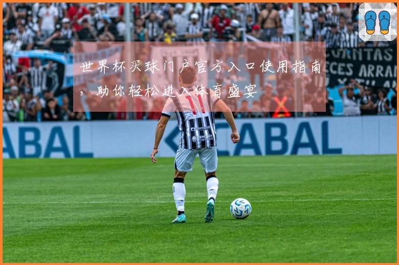 世界杯买球门户官方入口使用指南，助你轻松进入体育盛宴