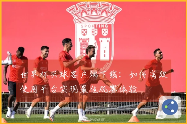 世界杯买球客户端下载：如何高效使用平台实现最佳观赛体验