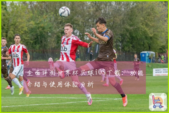 全面评测世界杯买球iOS下载：功能介绍与使用体验分析