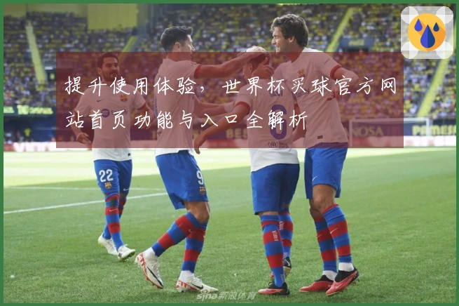 提升使用体验，世界杯买球官方网站首页功能与入口全解析